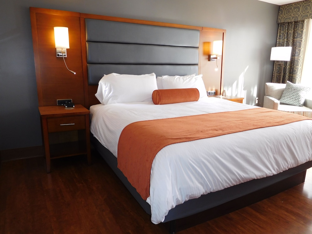 Imagen de la habitación del Hotel Wyndham Garden Greensboro. Foto 7