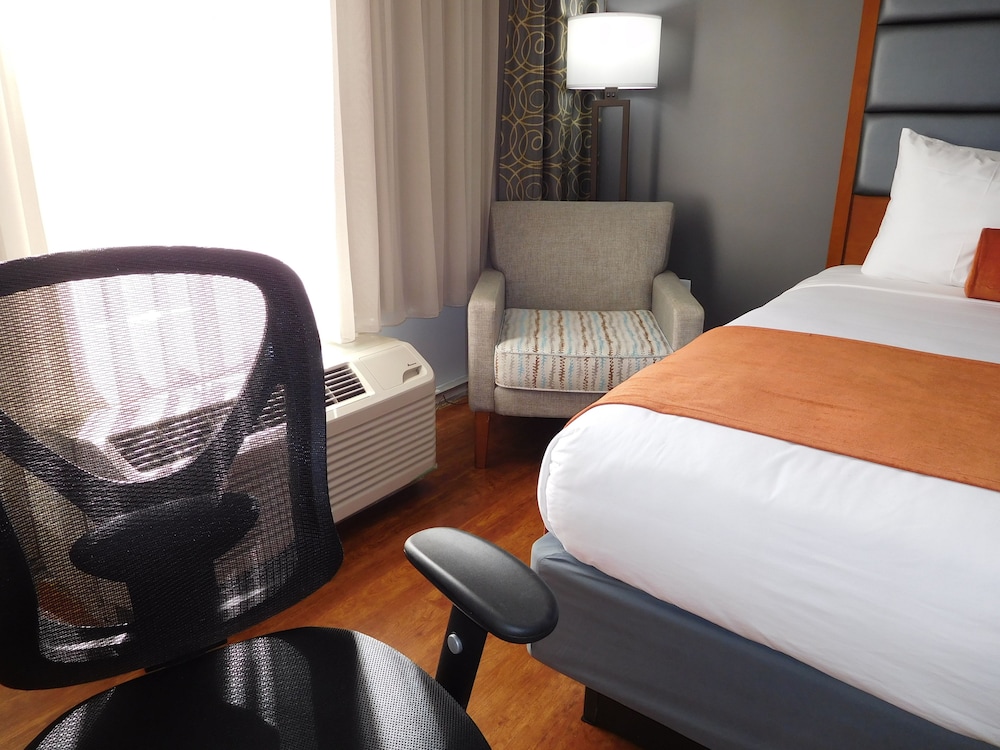 Imagen de la habitación del Hotel Wyndham Garden Greensboro. Foto 9