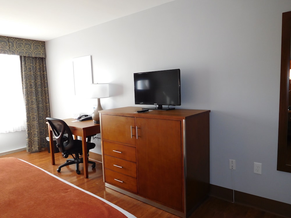 Imagen de la habitación del Hotel Wyndham Garden Greensboro. Foto 10