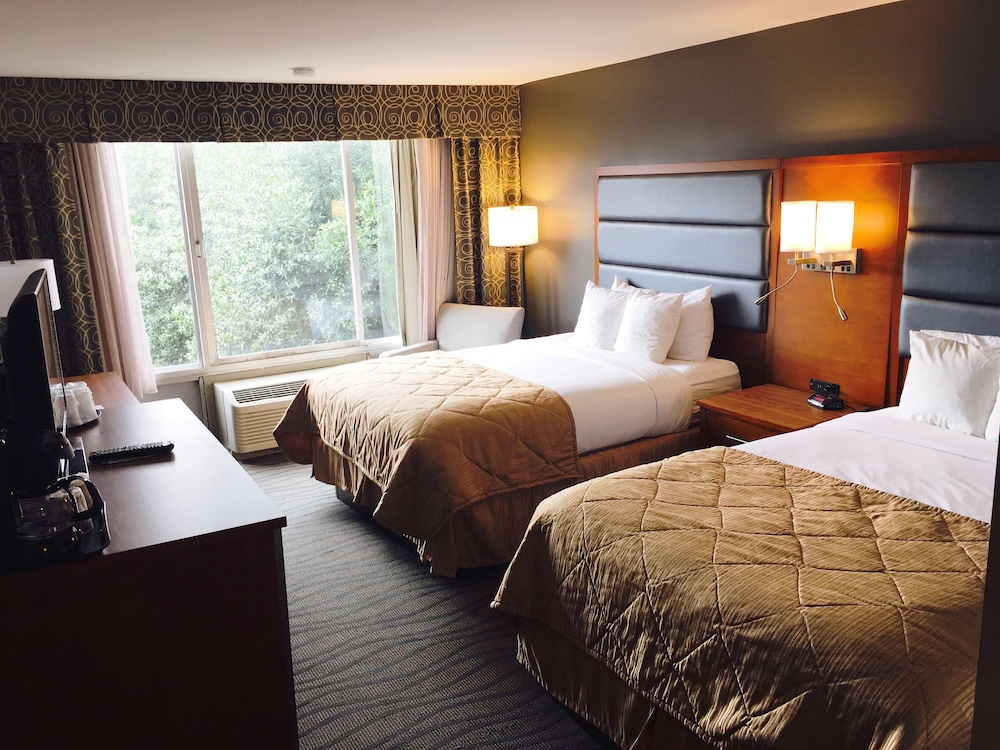 Imagen de la habitación del Hotel Wyndham Garden Greensboro. Foto 12