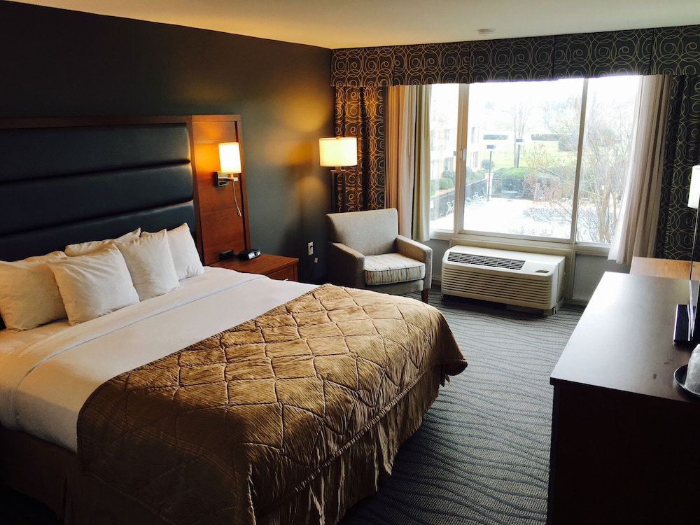 Imagen de la habitación del Hotel Wyndham Garden Greensboro. Foto 13