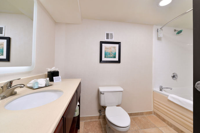 Imagen de la habitación del Hotel Wyndham Garden Greenville Airport. Foto 4