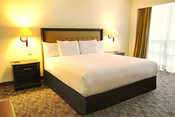 Imagen de la habitación del Hotel Wyndham Garden Guatemala City. Foto 16