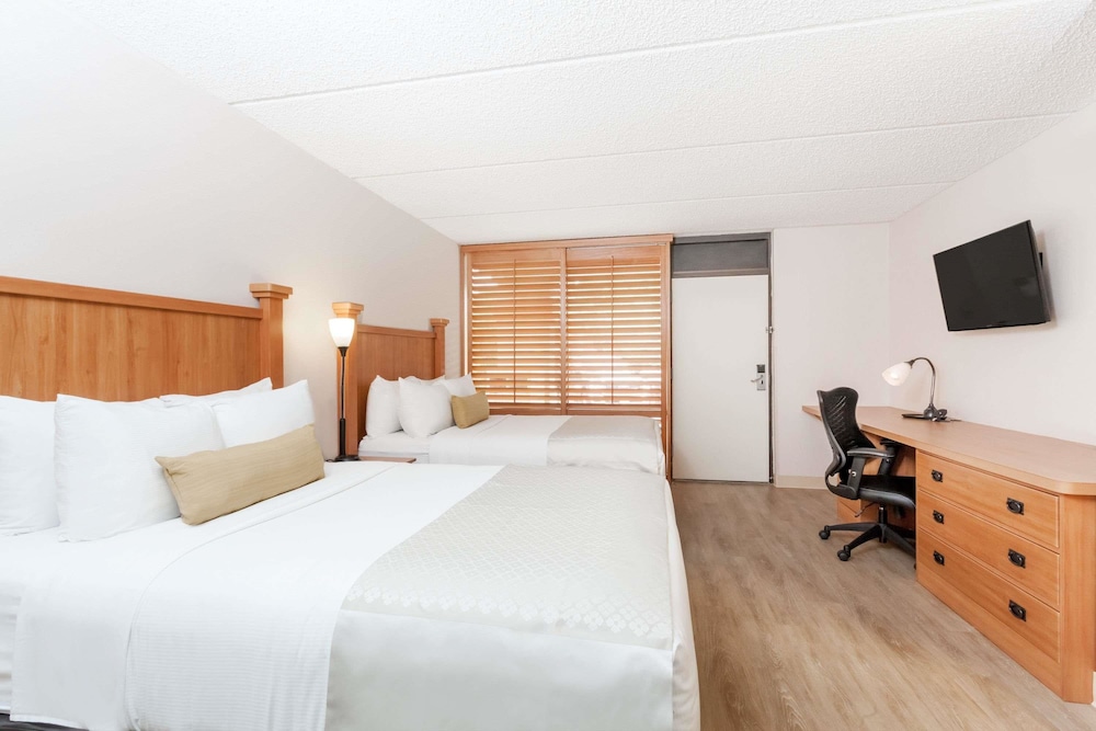 Imagen de la habitación del Hotel Wyndham Garden Hotel Austin. Foto 7