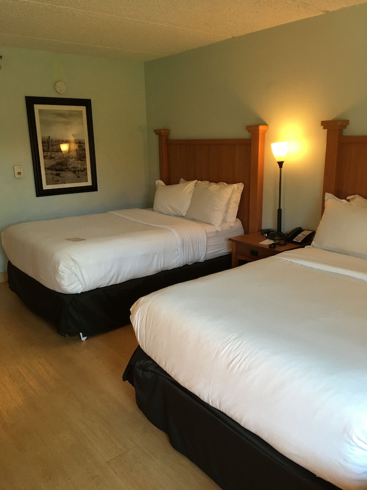 Imagen de la habitación del Hotel Wyndham Garden Hotel Austin. Foto 13