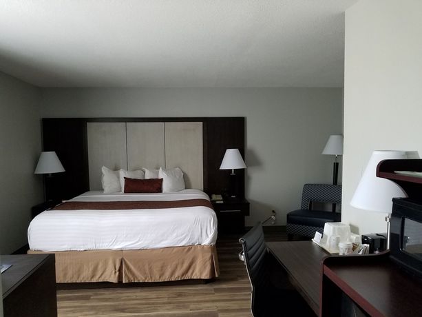 Imagen de la habitación del Hotel Wyndham Garden Jacksonville. Foto 2