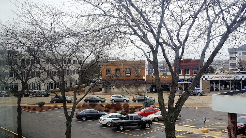 Imagen de la habitación del Hotel Wyndham Garden Kenosha Harborside. Foto 6