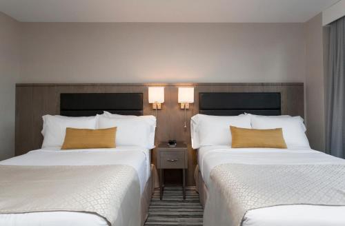 Imagen de la habitación del Hotel Wyndham Garden Laguardia South. Foto 13