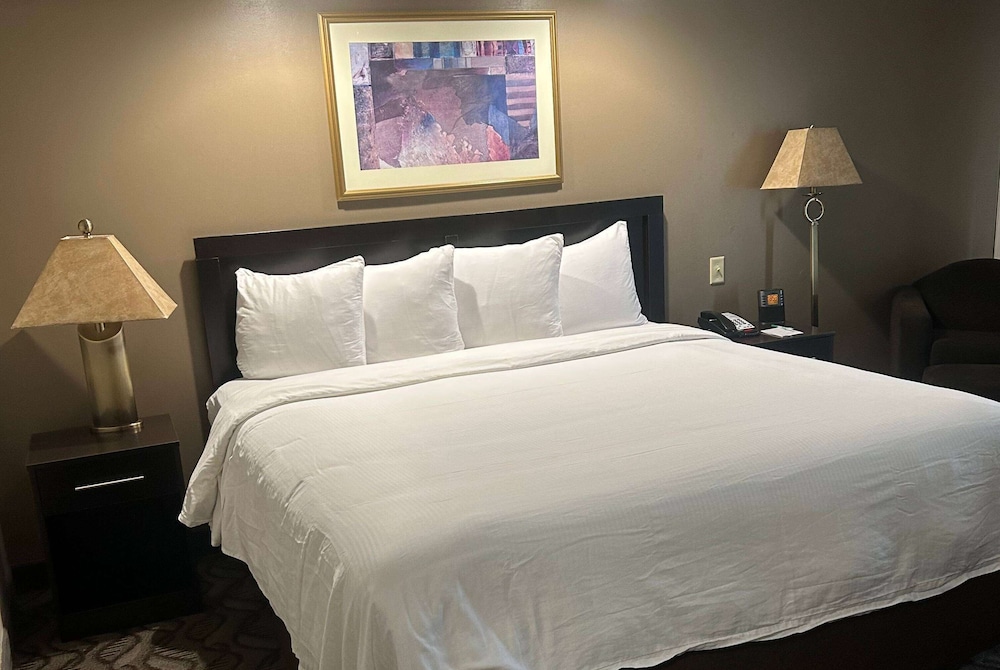 Imagen de la habitación del Hotel Wyndham Garden Madison Fitchburg. Foto 4