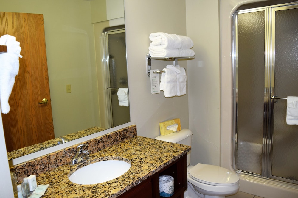 Imagen de la habitación del Hotel Wyndham Garden Madison Fitchburg. Foto 11