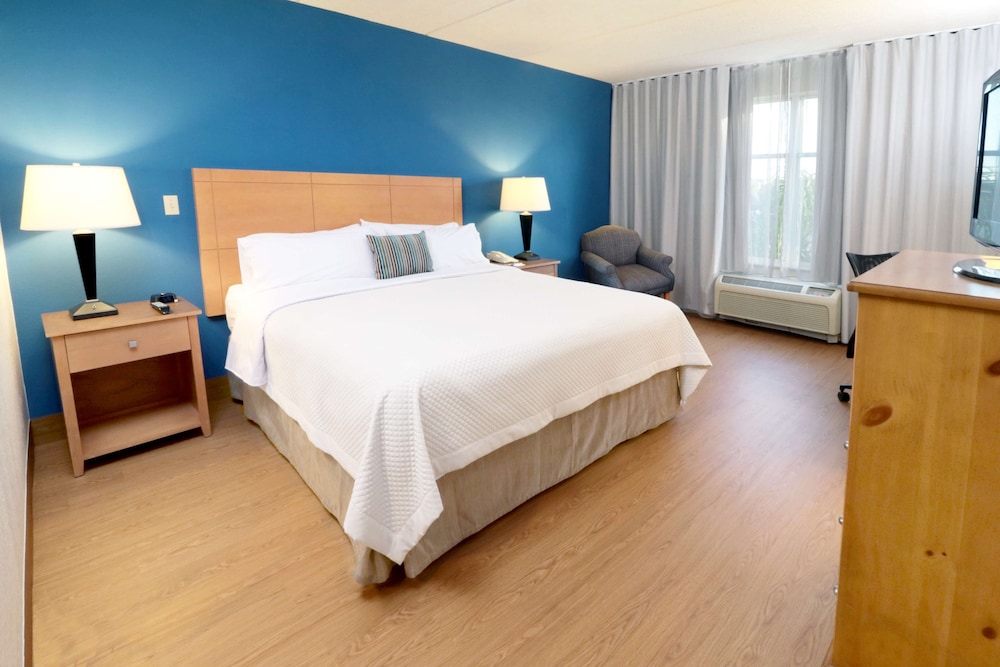 Imagen de la habitación del Hotel Wyndham Garden Mcallen At La Plaza Mall. Foto 3