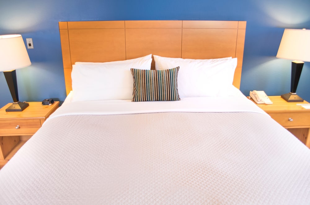 Imagen de la habitación del Hotel Wyndham Garden Mcallen At La Plaza Mall. Foto 4