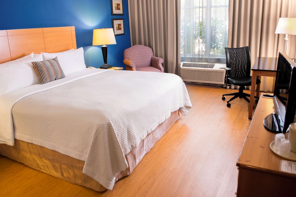 Imagen de la habitación del Hotel Wyndham Garden Mcallen At La Plaza Mall. Foto 10