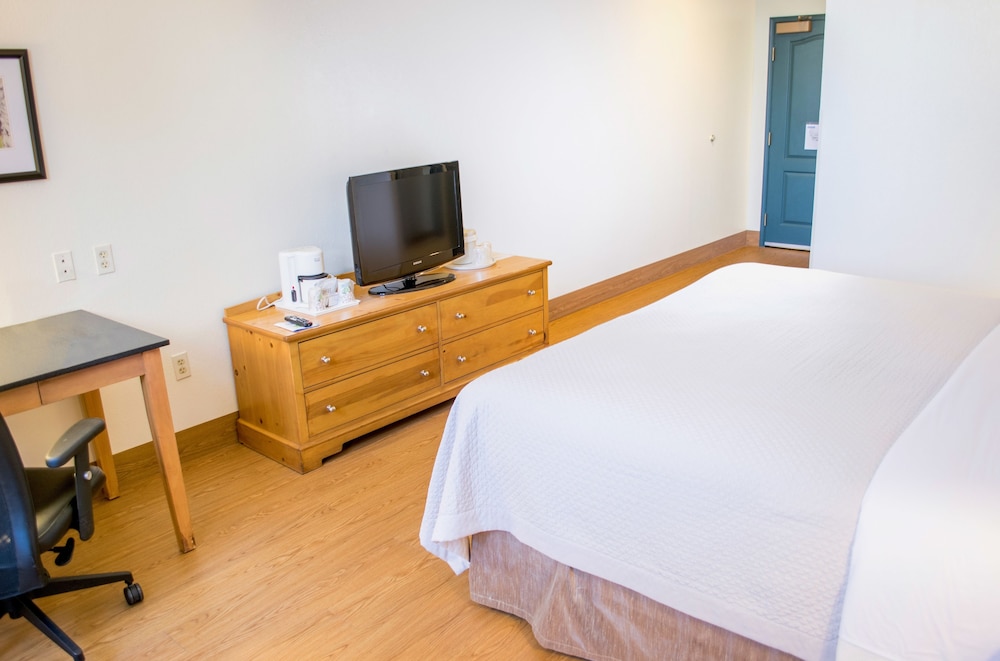 Imagen de la habitación del Hotel Wyndham Garden Mcallen At La Plaza Mall. Foto 11