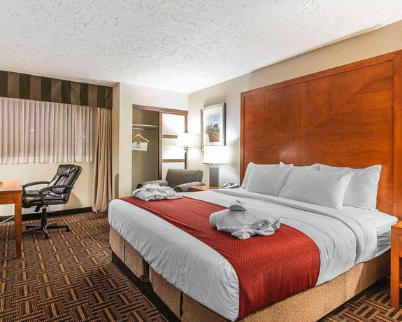 Imagen de la habitación del Hotel Wyndham Garden Medicine Hat Conference Center. Foto 7
