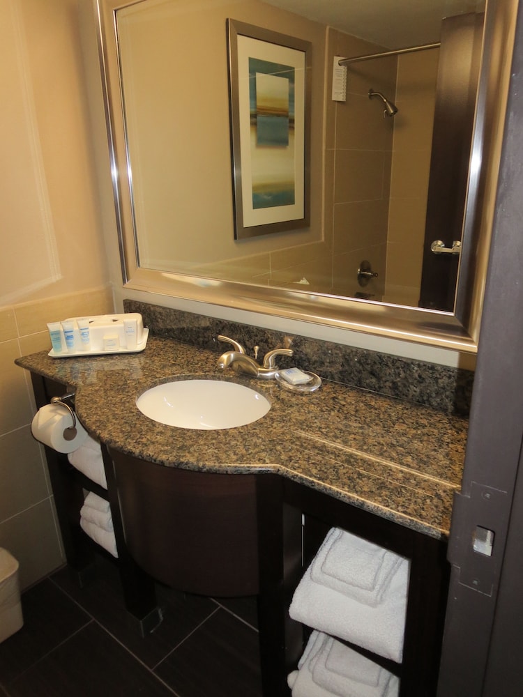 Imagen de la habitación del Hotel Wyndham Garden Midland. Foto 11