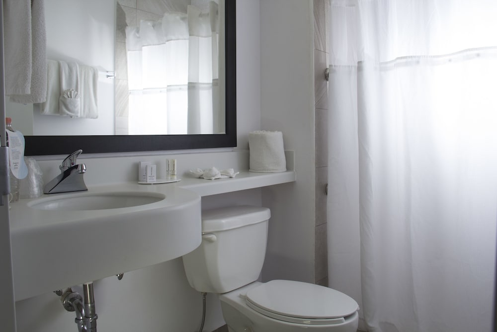 Imagen de la habitación del Hotel Wyndham Garden Monterrey Aeropuerto. Foto 18