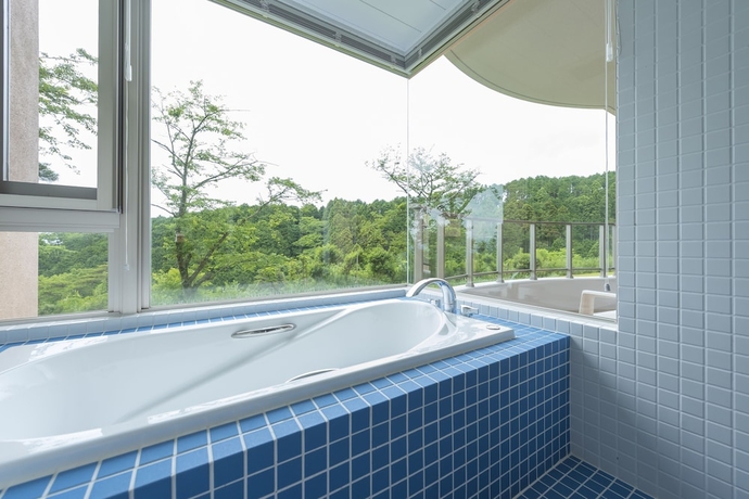 Imagen de la habitación del Hotel Wyndham Garden Nagaizumi. Foto 14