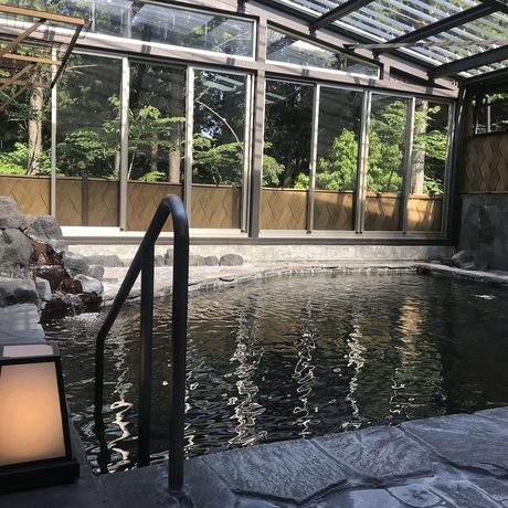 Imagen general del Hotel Wyndham Garden Nagaizumi. Foto 2