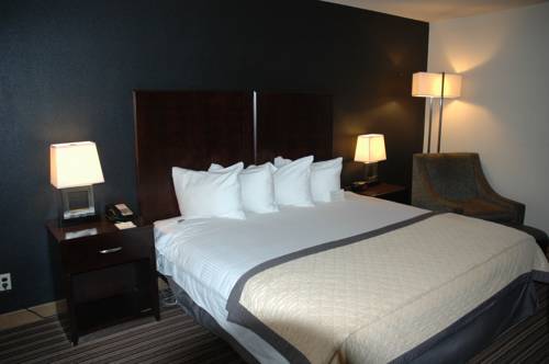 Imagen de la habitación del Hotel Wyndham Garden Norfolk Downtown. Foto 4