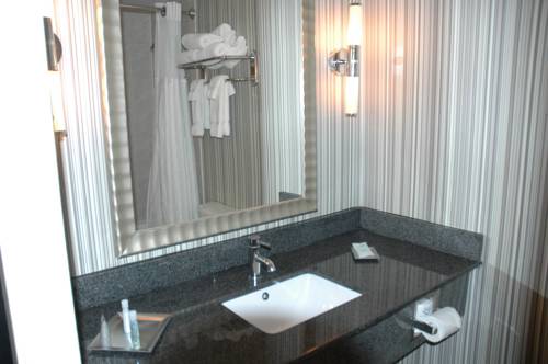 Imagen de la habitación del Hotel Wyndham Garden Norfolk Downtown. Foto 6