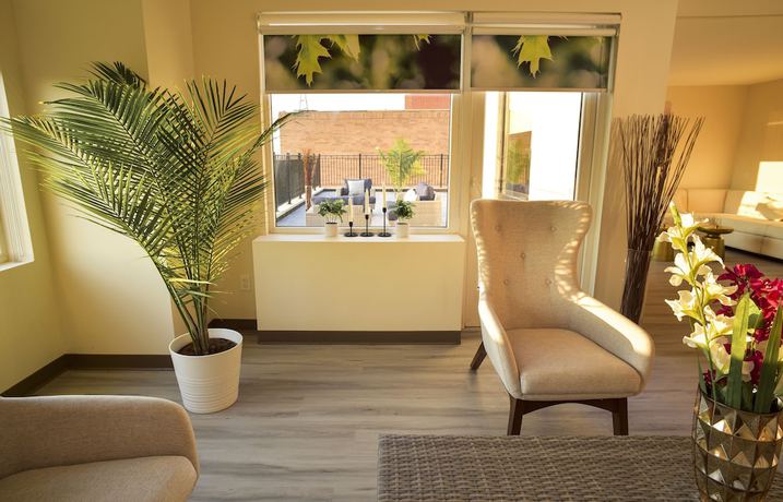 Imagen de la habitación del Hotel Wyndham Garden North Bergen Near Secaucus. Foto 6