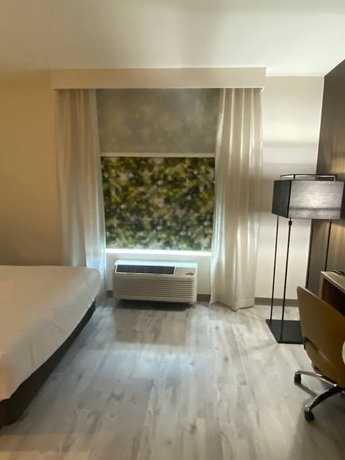 Imagen de la habitación del Hotel Wyndham Garden Orlando Airport. Foto 13