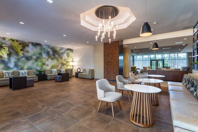Imagen de los interiores del Hotel Wyndham Garden Orlando Universal / I Drive. Foto 19