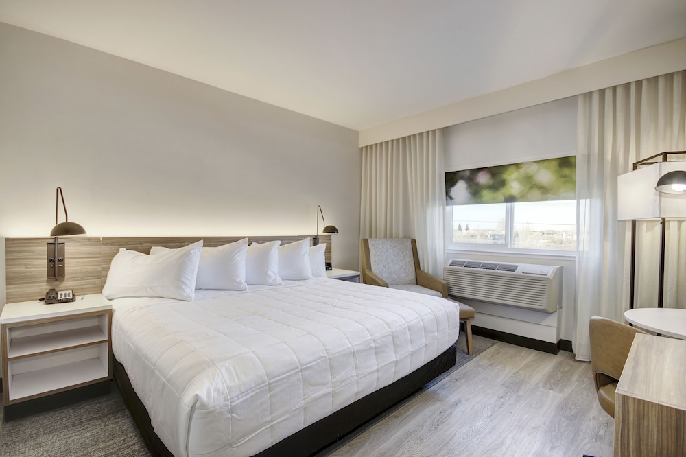Imagen de la habitación del Hotel Wyndham Garden Sacramento Airport Natomas. Foto 5
