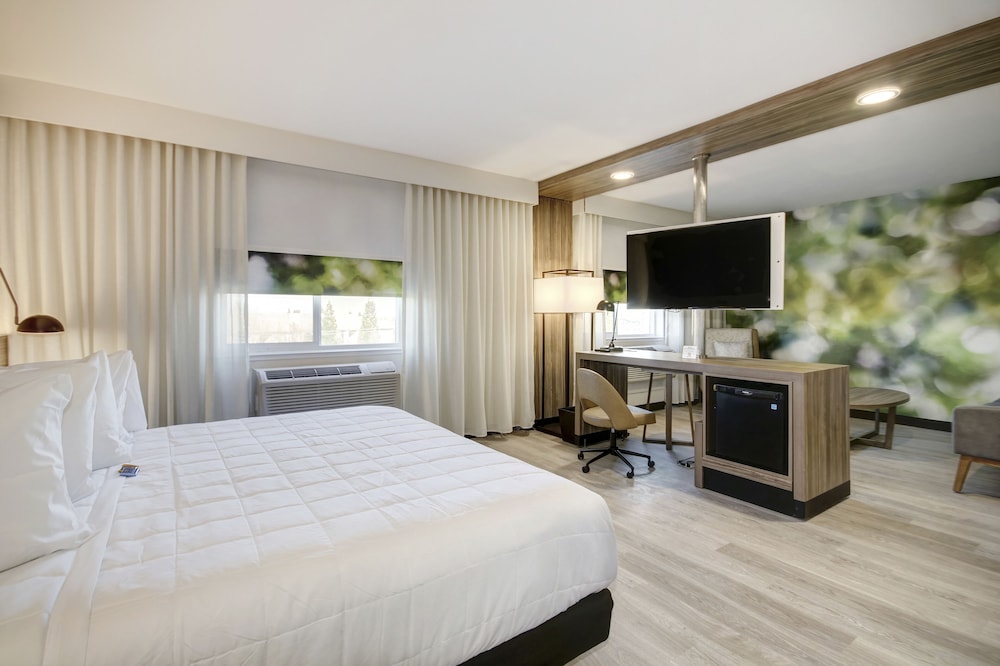 Imagen de la habitación del Hotel Wyndham Garden Sacramento Airport Natomas. Foto 10