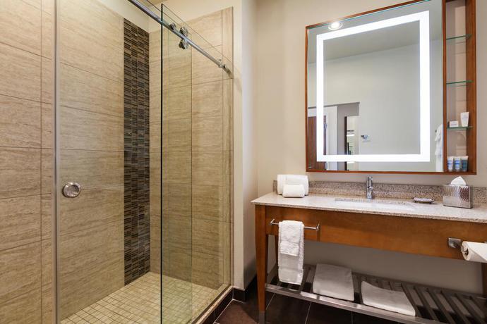 Imagen de la habitación del Hotel Wyndham Garden San Antonio Riverwalk/Museum Reach. Foto 5