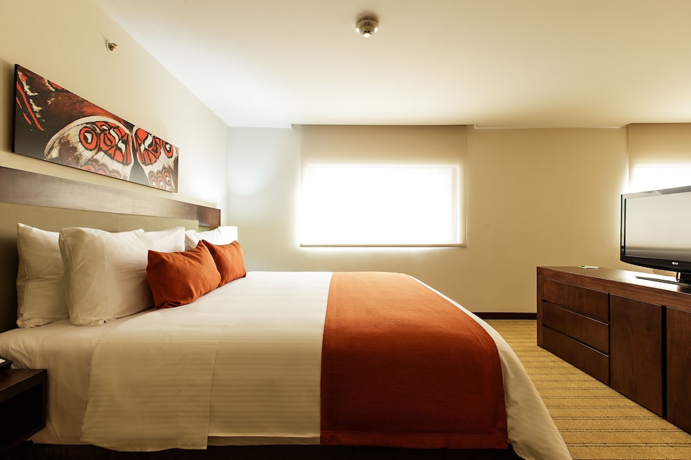 Imagen de la habitación del Hotel Wyndham Garden San Jose Escazu. Foto 8