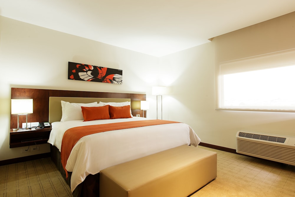 Imagen de la habitación del Hotel Wyndham Garden San Jose Escazu. Foto 12