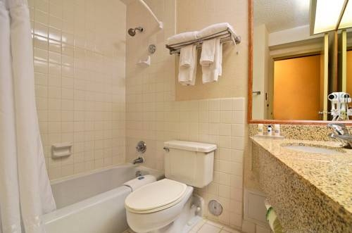 Imagen de la habitación del Hotel Wyndham Garden Schaumburg Chicago Northwest. Foto 6