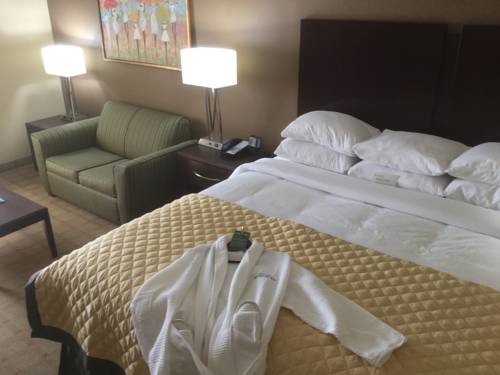 Imagen de la habitación del Hotel Wyndham Garden Shreveport. Foto 3