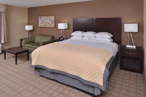 Imagen de la habitación del Hotel Wyndham Garden Shreveport. Foto 4