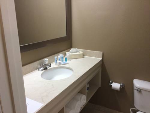 Imagen de la habitación del Hotel Wyndham Garden Shreveport. Foto 9