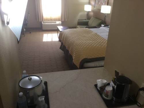 Imagen de la habitación del Hotel Wyndham Garden Shreveport. Foto 14