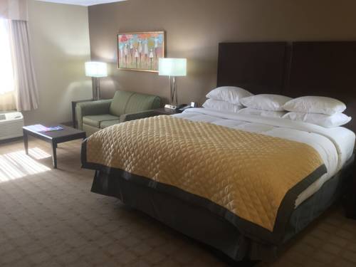 Imagen de la habitación del Hotel Wyndham Garden Shreveport. Foto 16