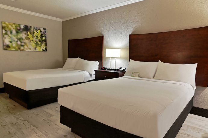 Imagen de la habitación del Hotel Wyndham Garden Summerville. Foto 11