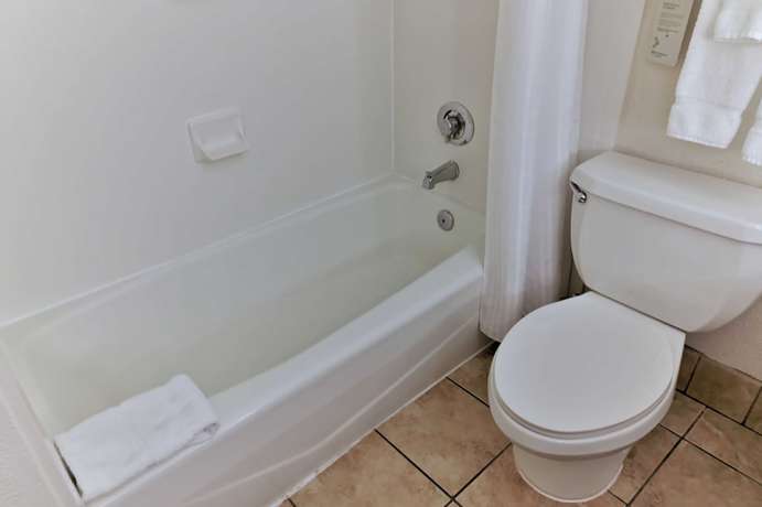 Imagen de la habitación del Hotel Wyndham Garden Summerville. Foto 16