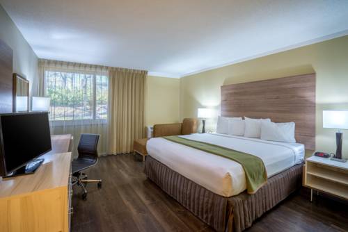 Imagen de la habitación del Hotel Wyndham Garden Washington DC Area. Foto 2