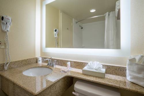 Imagen de la habitación del Hotel Wyndham Garden Washington DC Area. Foto 3