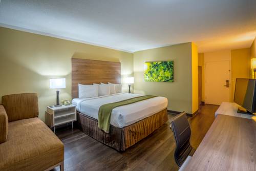 Imagen de la habitación del Hotel Wyndham Garden Washington DC Area. Foto 6