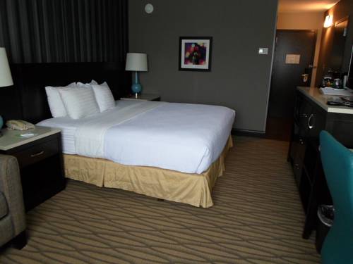 Imagen general del Hotel Wyndham Garden Westlake. Foto 1