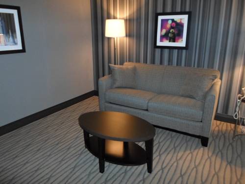 Imagen de la habitación del Hotel Wyndham Garden Westlake. Foto 7