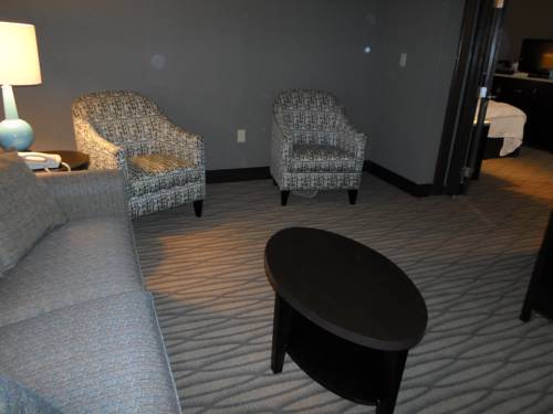 Imagen de la habitación del Hotel Wyndham Garden Westlake. Foto 8