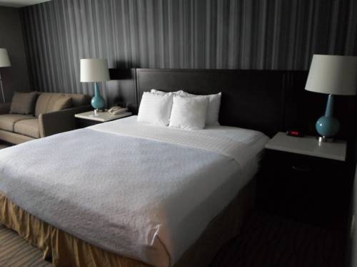 Imagen de la habitación del Hotel Wyndham Garden Westlake. Foto 15