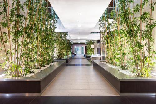 Imagen de los interiores del Hotel Wyndham Grand Algarve. Foto 18