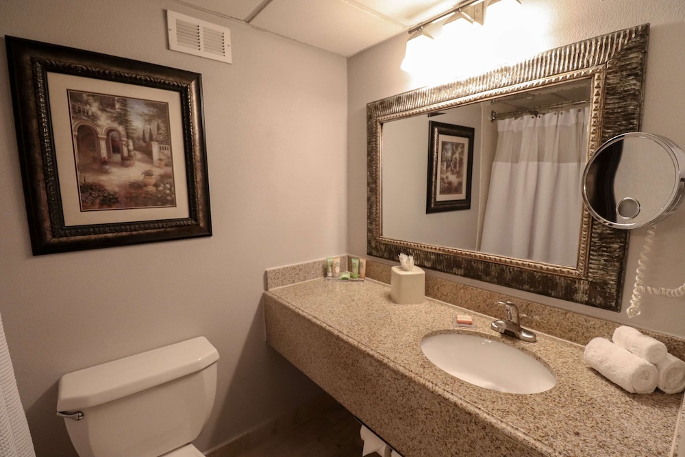Imagen de la habitación del Hotel Wyndham Houston near NRG Park / Medical Center. Foto 10